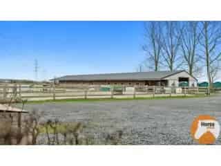 Huis gemengd gebruik te koop Damme Paardeneigendom B&B