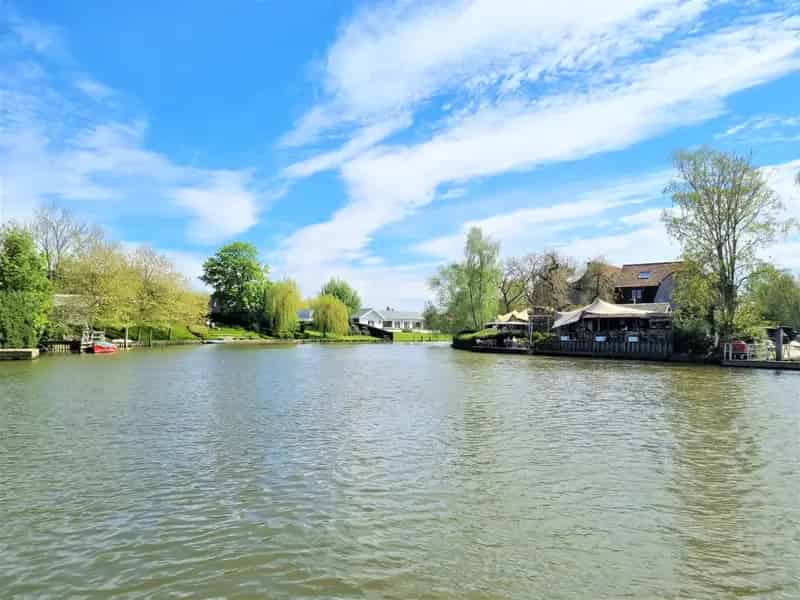 Appartement te huur in Drongen