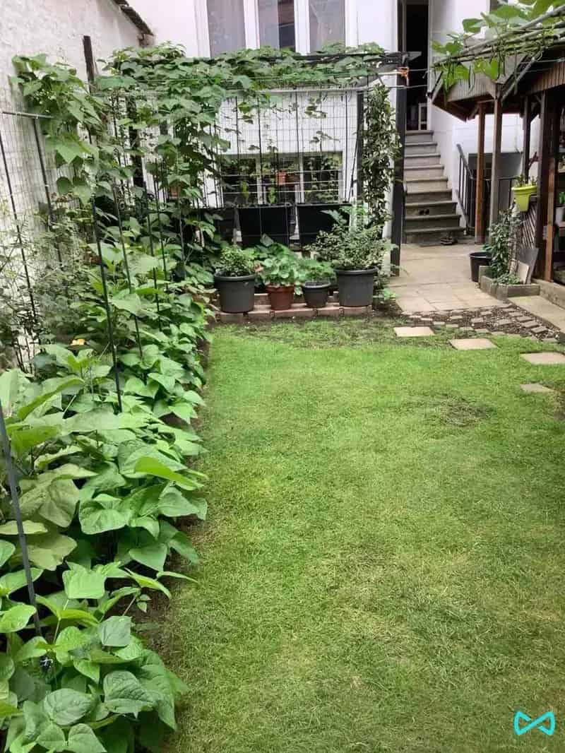 Huis met acht slaapkamers in Schaerbeek