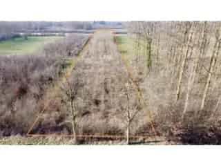 Landbouwgrond te koop - Nederename RBS76140