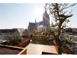 Handelspand te koop - Mechelen RBT96069