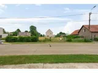 Grond te koop - Moerbeke-Waas RBT87556