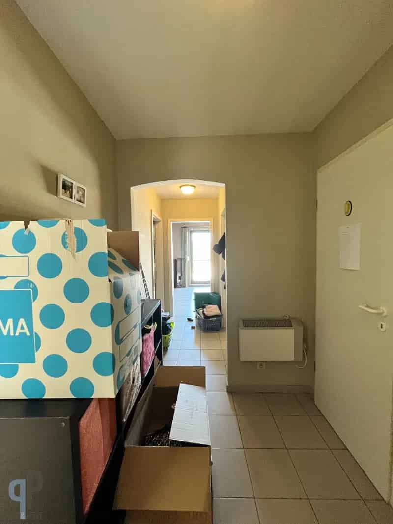 Appartement te huur in Zottegem