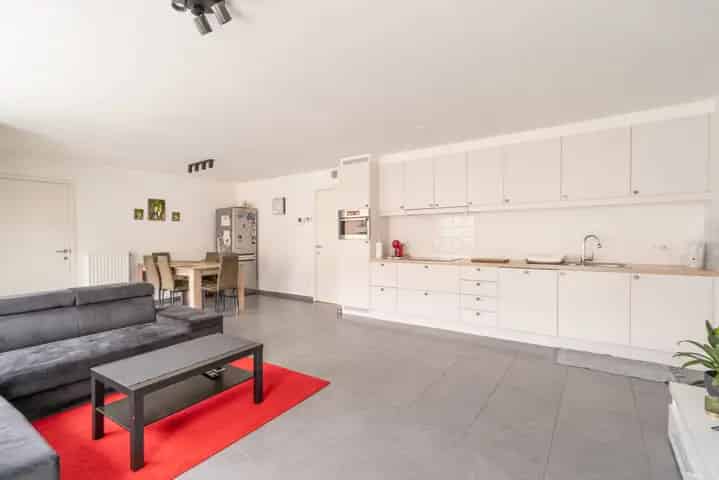 Appartement te koop in Hoogstraten