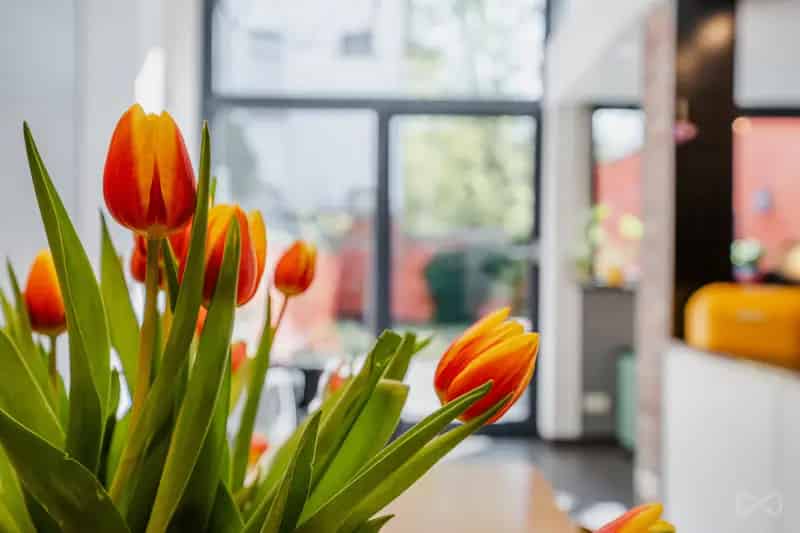 Appartement met vier slaapkamers in Bruxelles