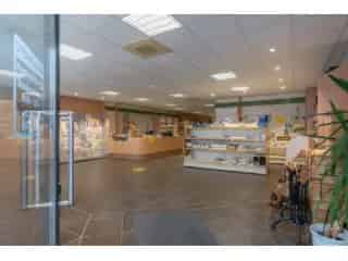 Handelspand te koop - Turnhout RBT36680