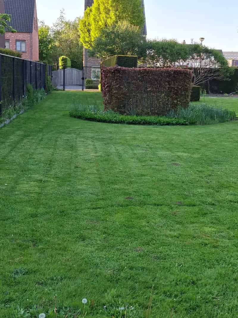 Grond te koop