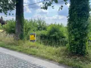 Grond te koop - Sinaai RBT91306