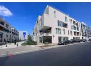 Handelspand te koop - Gent RBT09924