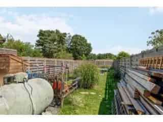 Handelspand te koop - Geel RBU13188