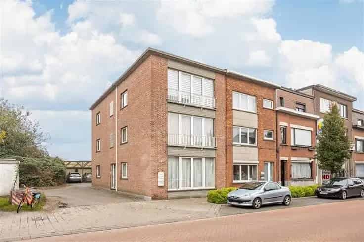 Appartementsblok Hemiksem 3x 2 Slaapkamers Te Koop