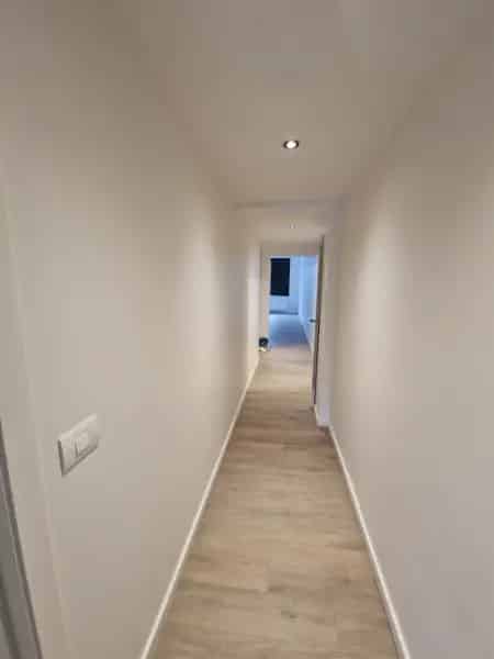 Appartement te huur in Dendermonde