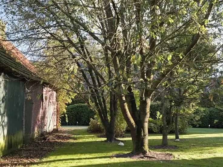 Landhuis Te Koop