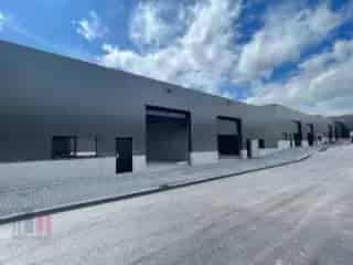 Industrie te koop - Tielt RBT82335