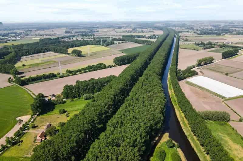 Ruime halfopen woning met 3 slpks en mooie tuin