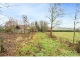 Boerderij - hoeve te koop - Ingelmunster RBS65349
