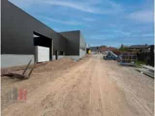 Industrie te koop - Tielt RBT43933