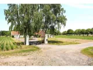 Fermette te koop - Sint-Baafs-Vijve RBT69338