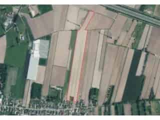Landbouwgrond te koop - Adegem RBO64745