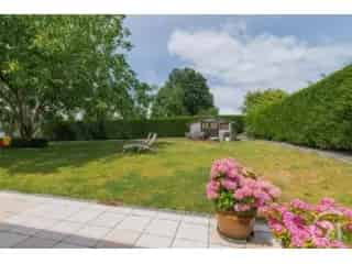 Villa te koop - Denderleeuw RBT97480
