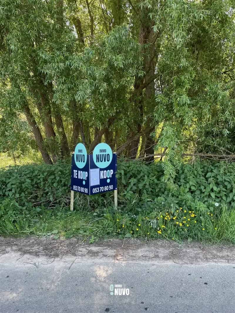 Bos