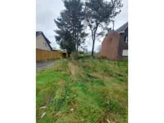 Bouwgrond te koop - Tessenderlo RBT17877