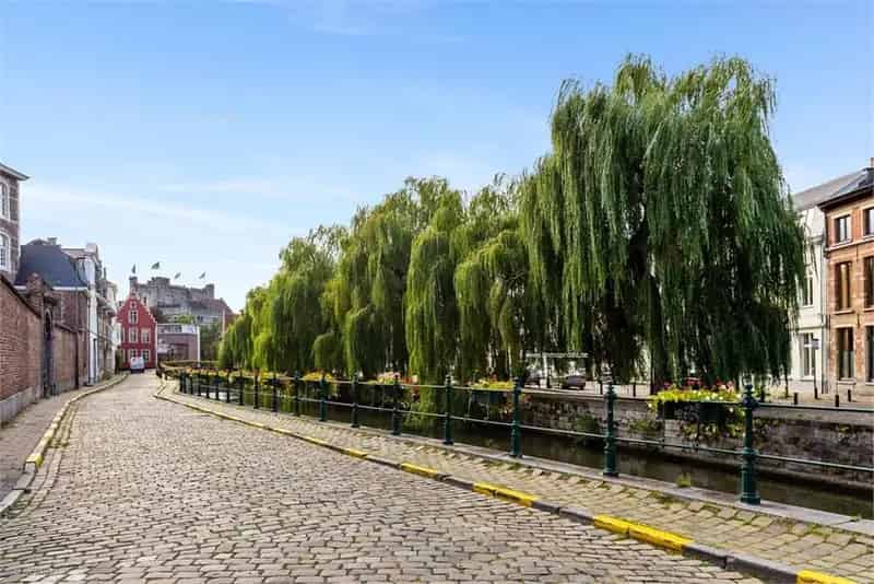 Nieuwbouw project te koop in Gent