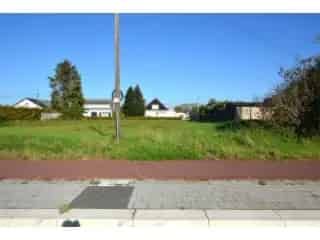 Bouwgrond te koop - Beerzel RBT90243


In optie