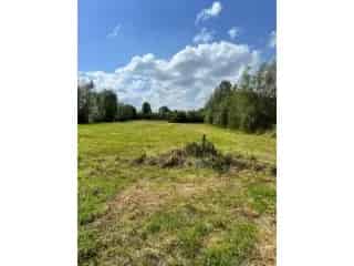 Bouwgrond te koop Hamme 2800m²