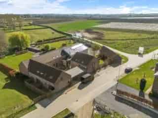 Handelspand te koop - Borgloon RBT46843