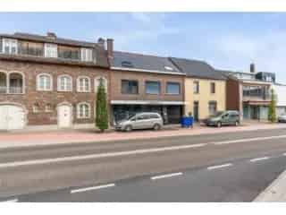 Handelspand te koop - Maaseik RBT96394