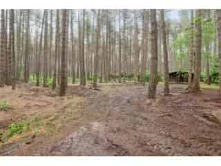 Chalet te koop - Gierle RBT68401
