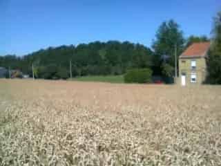 Huis te koop - Leval-Trahegnies VWD14203