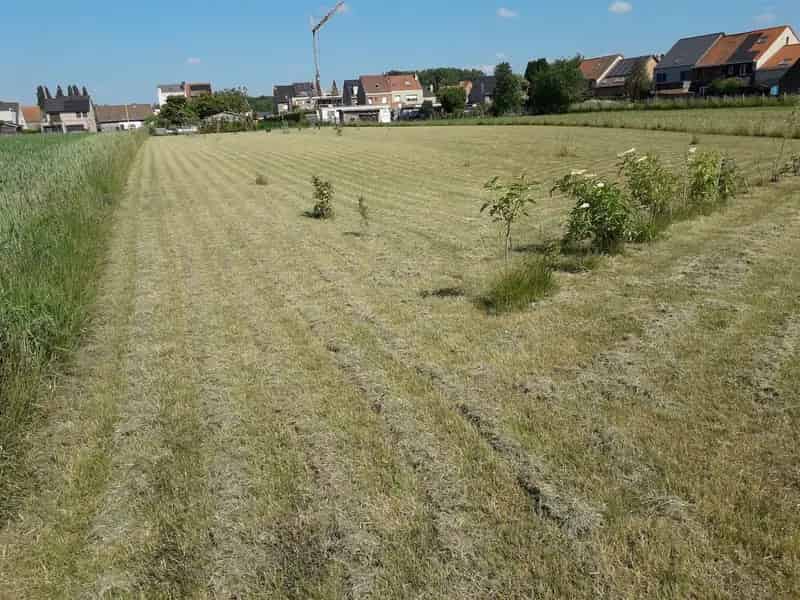 Grond gelegen in woonuitbreidingsgebied