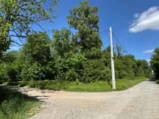 Grond te koop Gourdinne 2 hectare bosrijk terrein