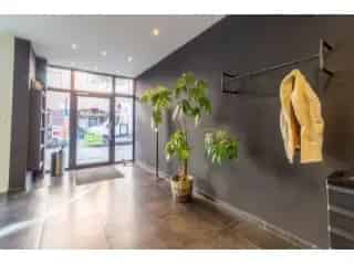 Kantoor te koop - Halle RBU22743