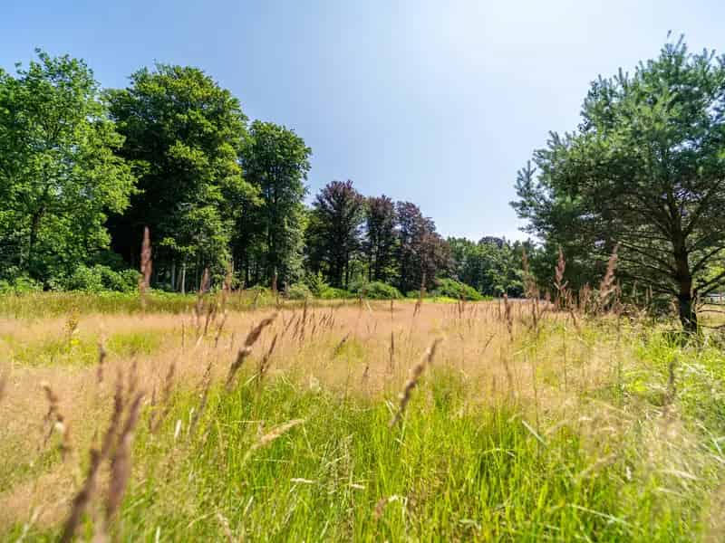 Bouwgrond Vriesdonk 25051m²  Uitzonderlijke Bebouwing