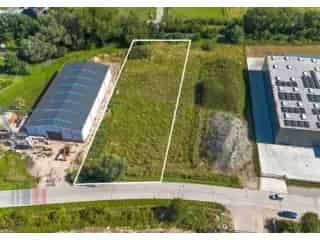 Industrie te koop - Kluisbergen RBS88692