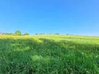 Bouwgrond te koop - Les Hayons VWD13987