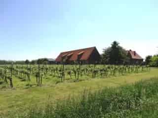 Boerderij - hoeve te koop - Boezinge RBT26989