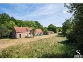 Boerderij - hoeve te koop - Maldegem RBT46664