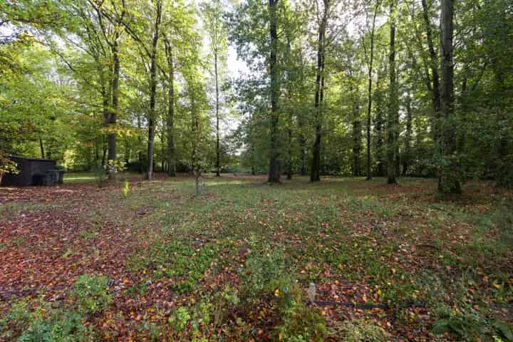 Grond Te Koop , Graven, Waals-Brabant