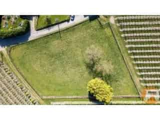 Landbouwgrond te koop - Tielt-Winge RBT04139