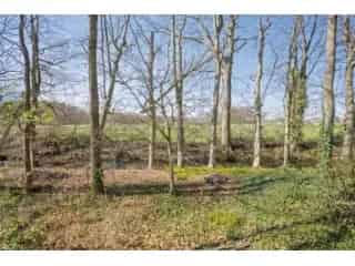 Bouwgrond te koop - Liezele RBT15599