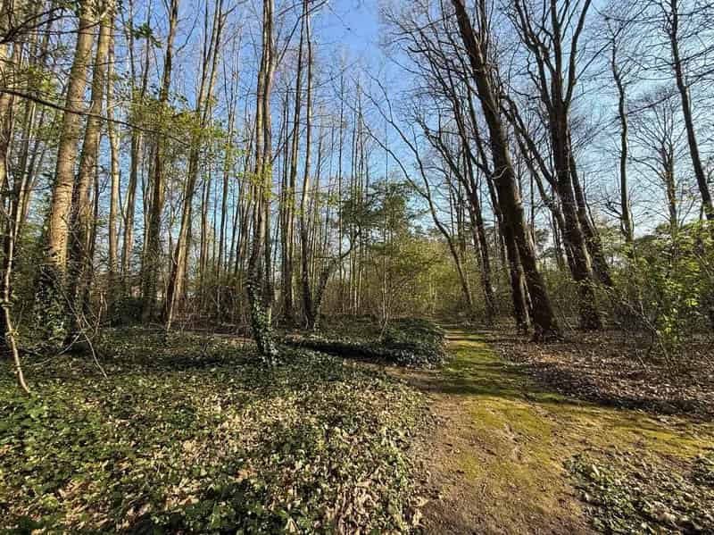 Residentiële bouwgrond op toplocatie