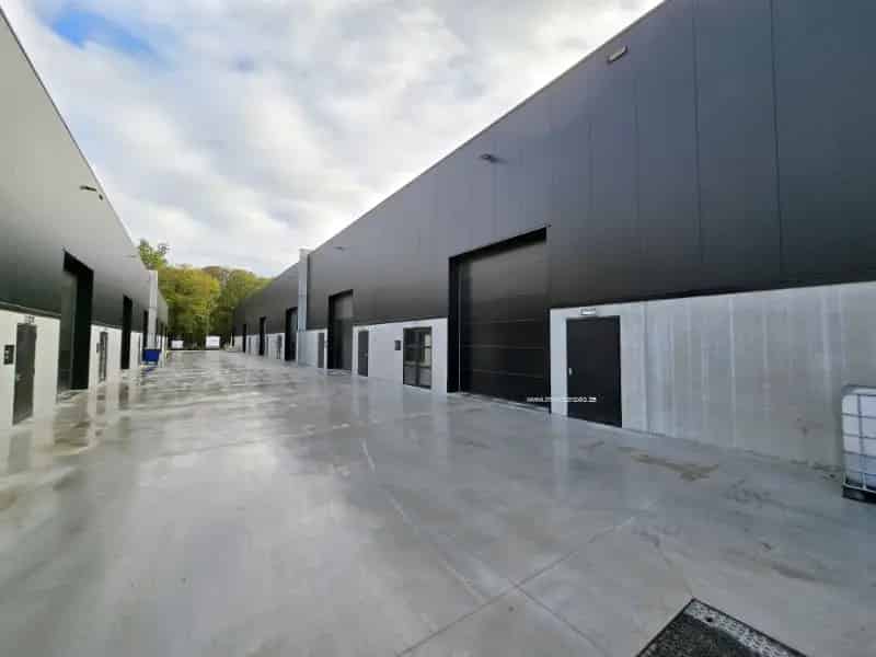 Nieuwbouw industrieel gebouw te huur in Buggenhout