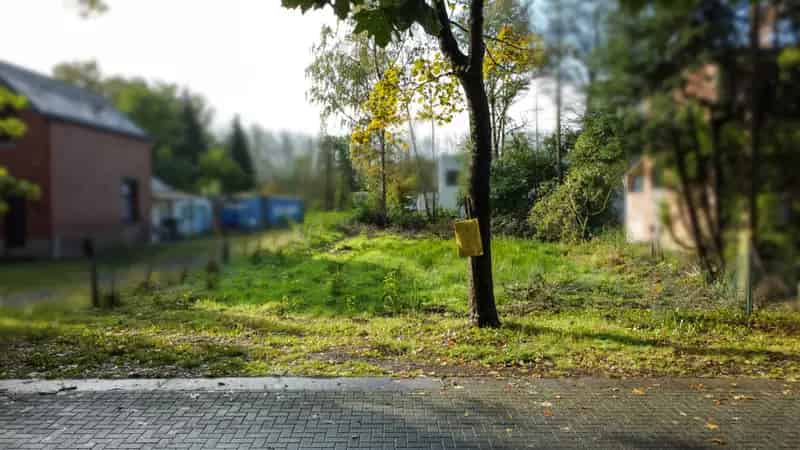 Nieuwbouw 270m² bew. opp op perceel van 750m² te Mechelen