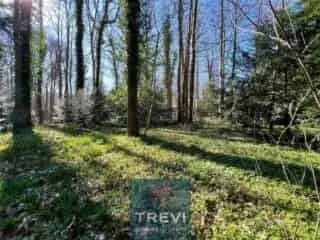 Bouwgrond te koop - Petit-Enghien VBC72125