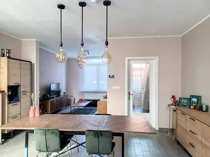 Te Koop Rijwoning Zuidgericht Terras Tuin Nabij Centrum
