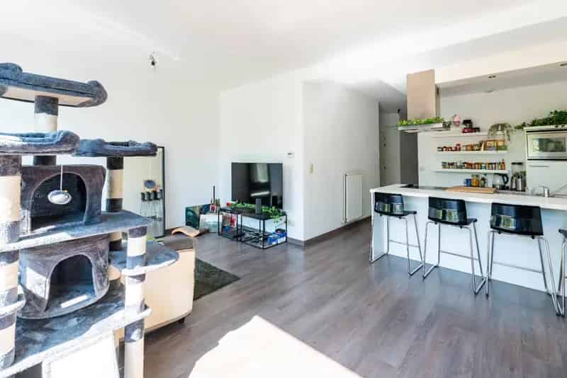 Modern 2 slaapkamer appartement 8511193